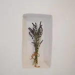 Il Biancospino - Graziosa Dimora Con Vasca In Nyaraló