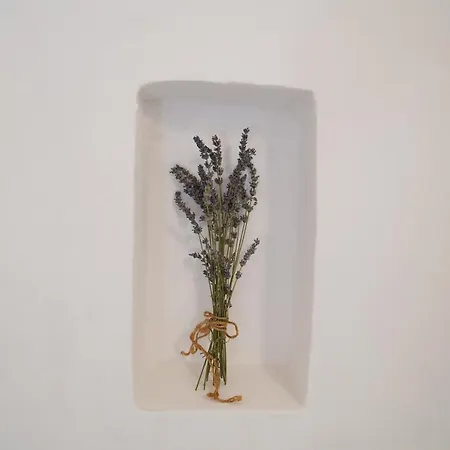 Il Biancospino - Graziosa Dimora Con Vasca In 펜션